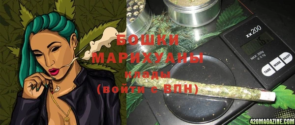 ПСИЛОЦИБИНОВЫЕ ГРИБЫ Абаза