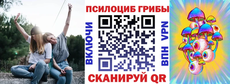 наркошоп  Туринск  Псилоцибиновые грибы мицелий 